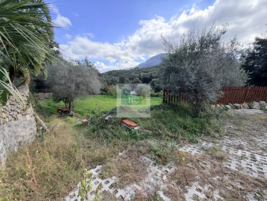 Immagine 46 di Villa in vendita  in Via Francesco Calise Operaio Foriano a Forio