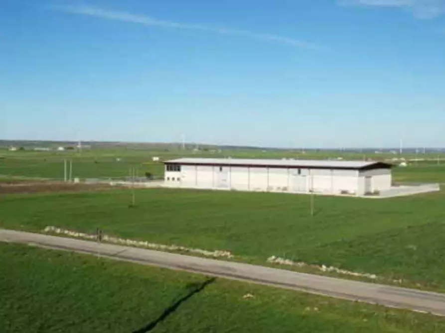 Immagine 2 di Capannone industriale in vendita  in SP19, 74014 Laterza TA, Italia a Laterza