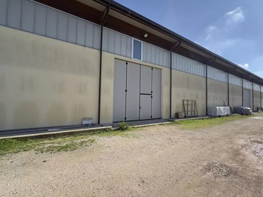 Immagine 3 di Capannone industriale in vendita  in SP19, 74014 Laterza TA, Italia a Laterza