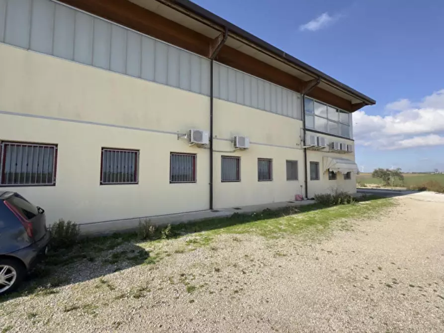 Immagine 4 di Capannone industriale in vendita  in SP19, 74014 Laterza TA, Italia a Laterza