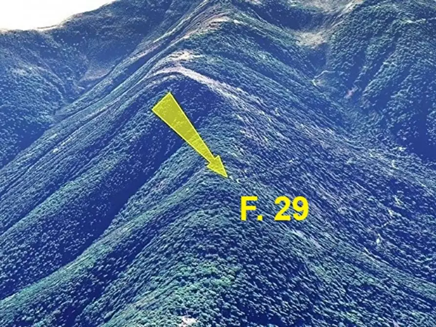 Immagine 3 di Terreno in vendita  in Frazione Faetto, Perrero TO, Italia a Perrero