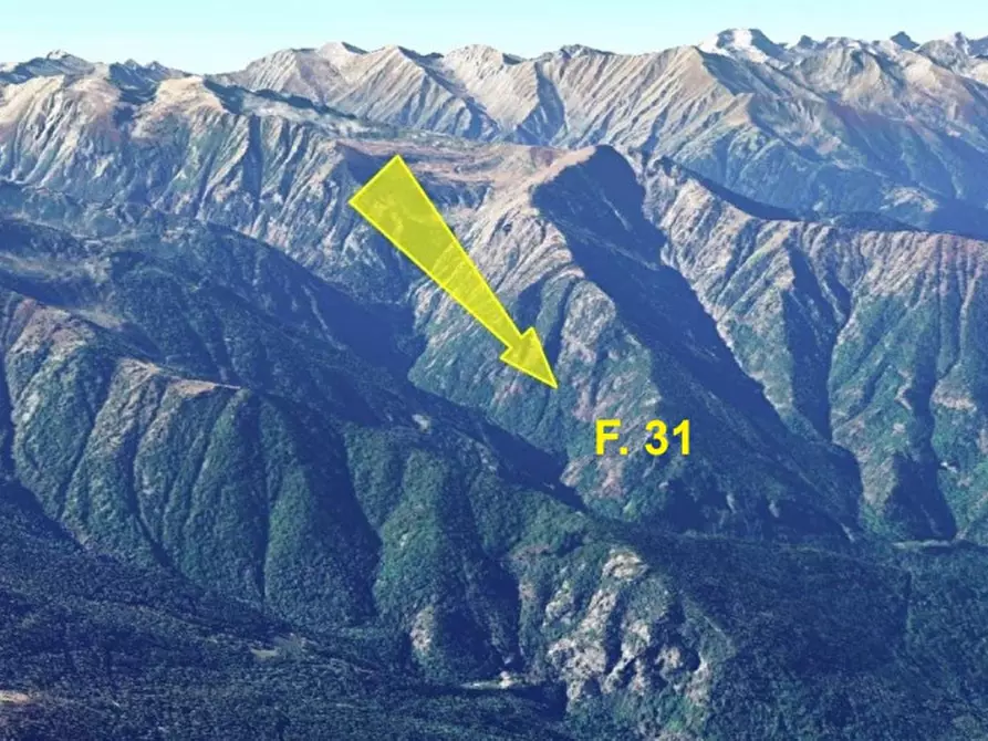 Immagine 4 di Terreno in vendita  in Frazione Faetto, Perrero TO, Italia a Perrero