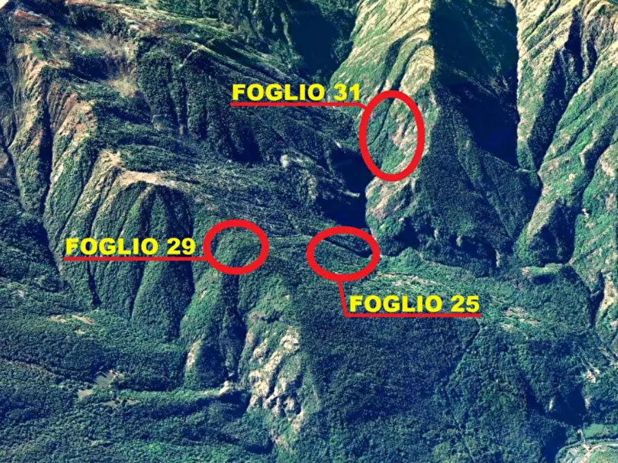 Immagine 10 di Terreno in vendita  in Frazione Faetto, Perrero TO, Italia a Perrero