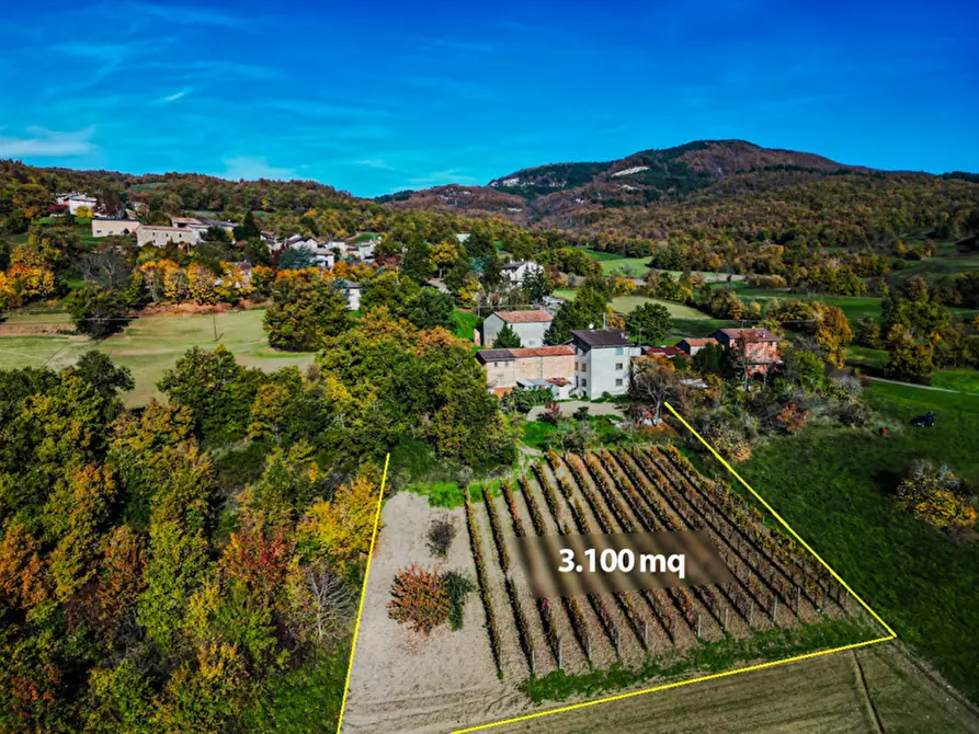 Immagine 2 di Casa indipendente in vendita  in Loc. Olza 2 a Morfasso