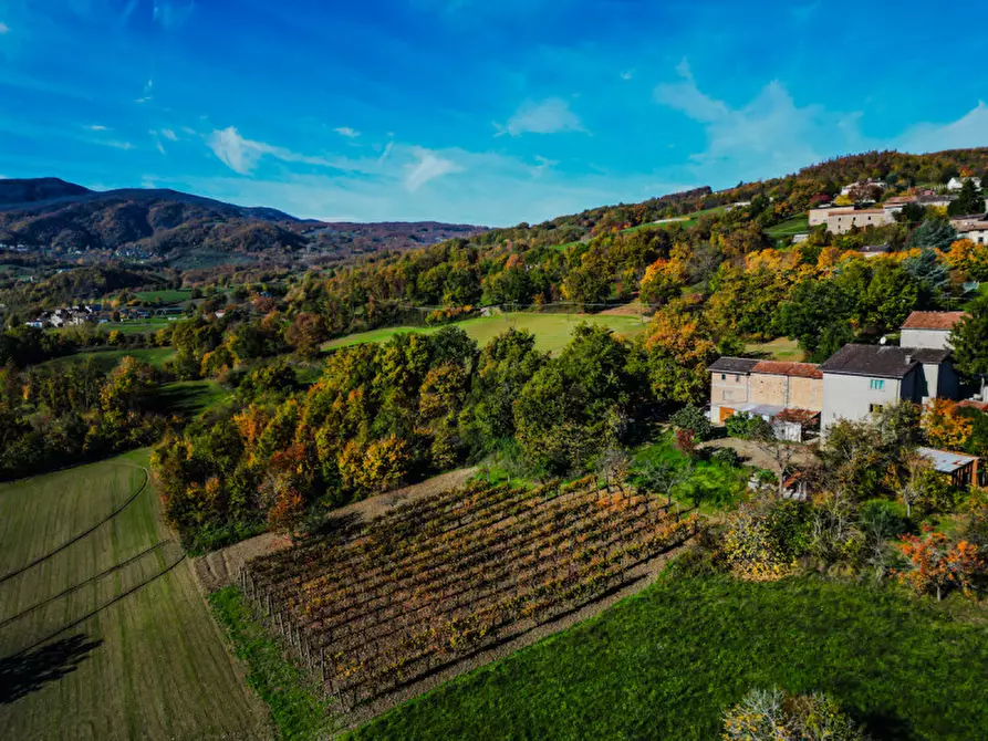 Immagine 3 di Casa indipendente in vendita  in Loc. Olza 2 a Morfasso