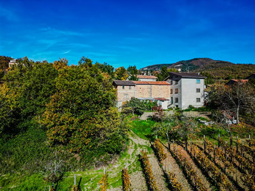 Immagine 4 di Casa indipendente in vendita  in Loc. Olza 2 a Morfasso