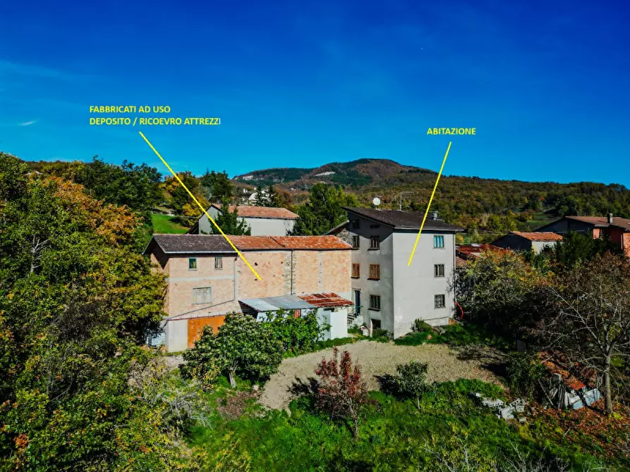 Immagine 5 di Casa indipendente in vendita  in Loc. Olza 2 a Morfasso