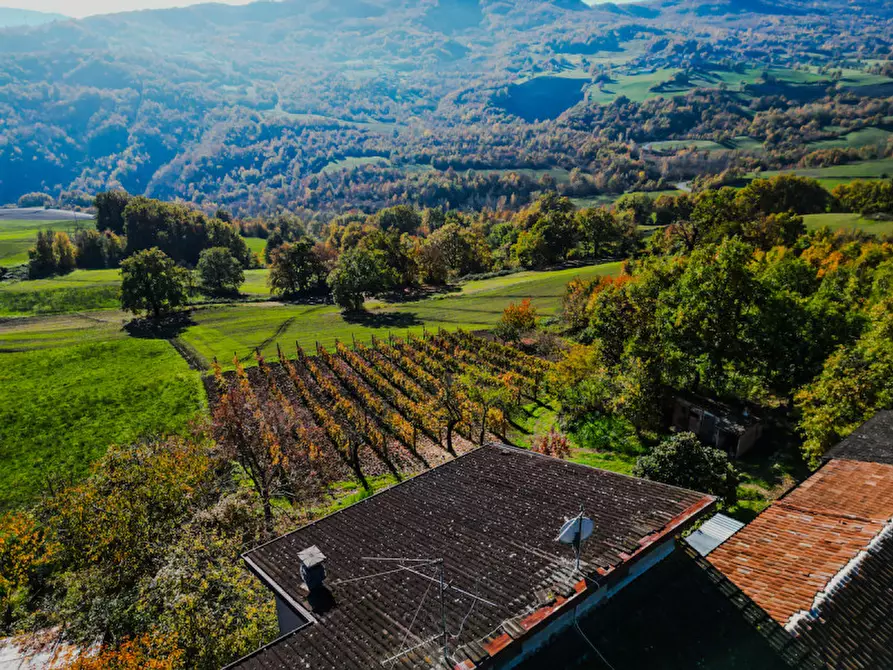 Immagine 6 di Casa indipendente in vendita  in Loc. Olza 2 a Morfasso