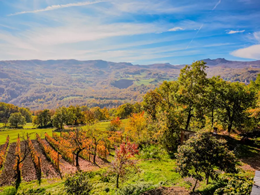 Immagine 21 di Casa indipendente in vendita  in Loc. Olza 2 a Morfasso