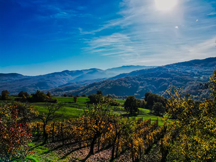 Immagine 22 di Casa indipendente in vendita  in Loc. Olza 2 a Morfasso