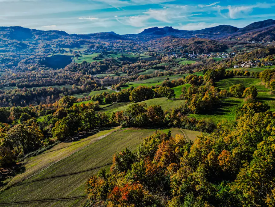 Immagine 23 di Casa indipendente in vendita  in Loc. Olza 2 a Morfasso