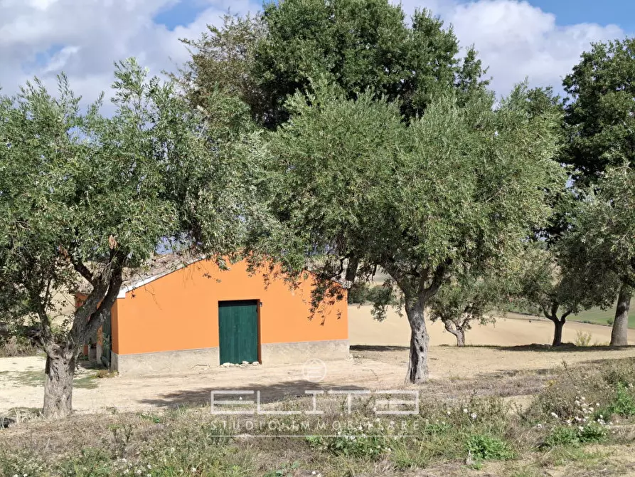 Immagine 13 di Casa indipendente in vendita  a Recanati