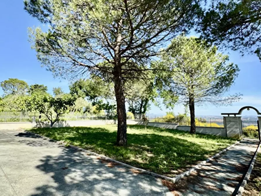 Immagine 3 di Villa in vendita  a Manoppello