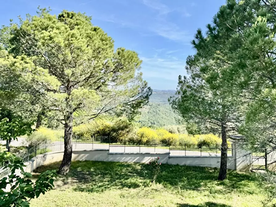 Immagine 10 di Villa in vendita  a Manoppello