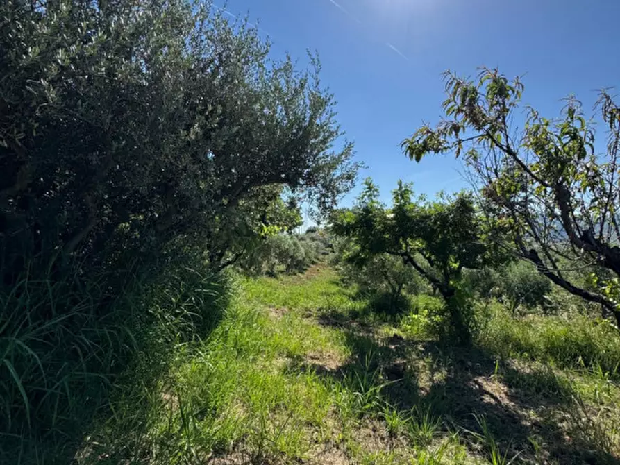 Immagine 18 di Villa in vendita  a Manoppello