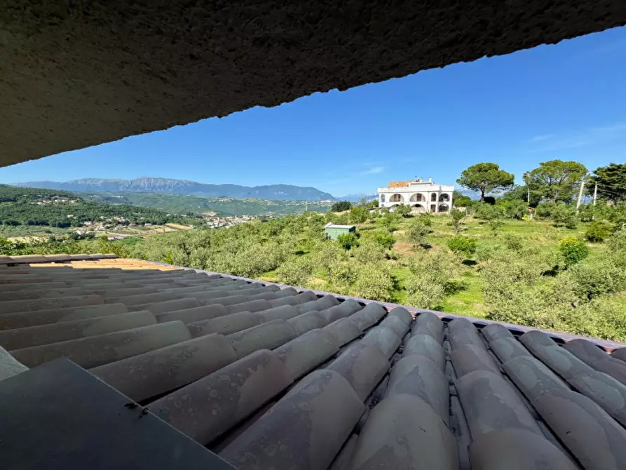 Immagine 19 di Villa in vendita  a Manoppello