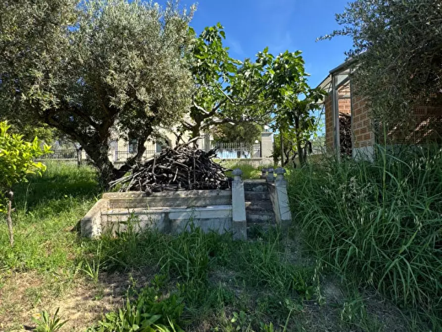 Immagine 21 di Villa in vendita  a Manoppello