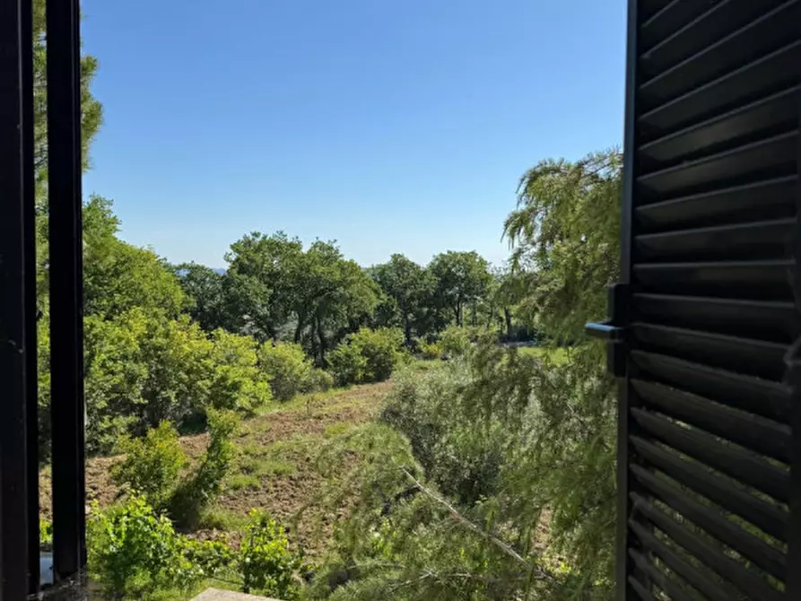 Immagine 27 di Villa in vendita  a Manoppello