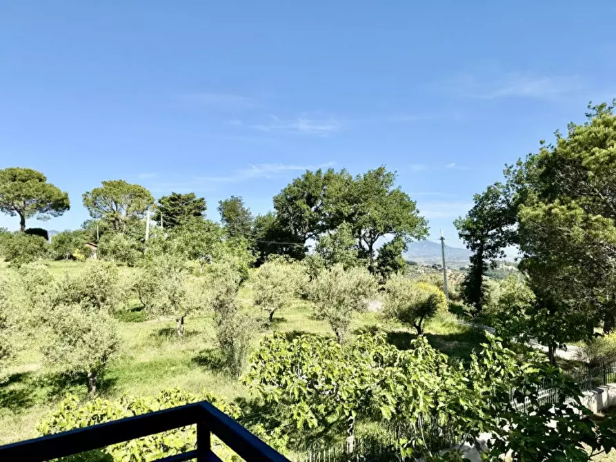 Immagine 29 di Villa in vendita  a Manoppello