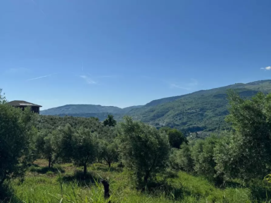 Immagine 31 di Villa in vendita  a Manoppello