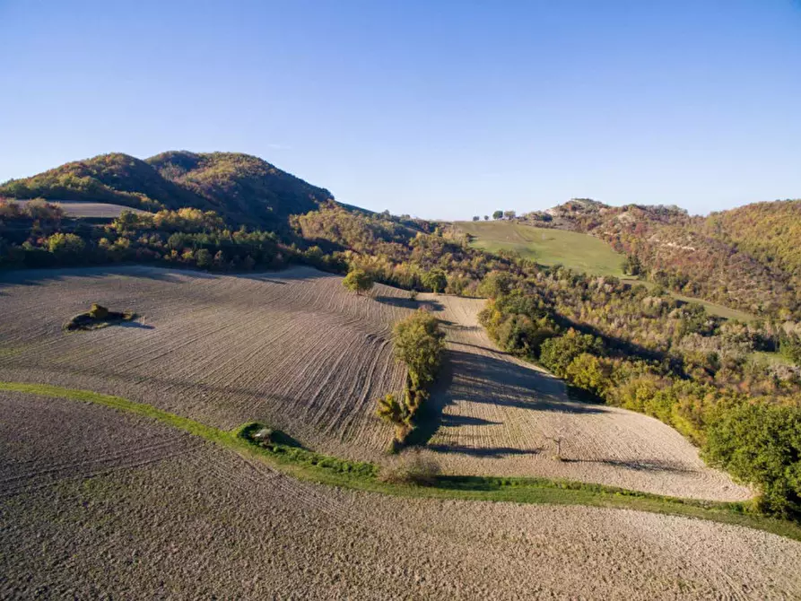 Immagine 5 di Terreno in vendita  in Località Case Stroppa a Acqualagna