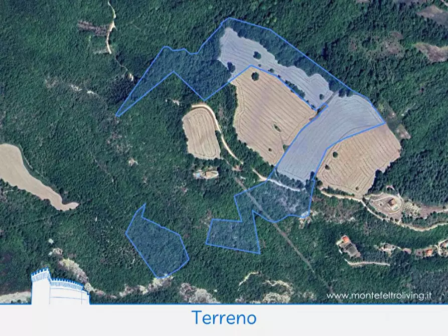 Immagine 16 di Terreno in vendita  in Località Case Stroppa a Acqualagna