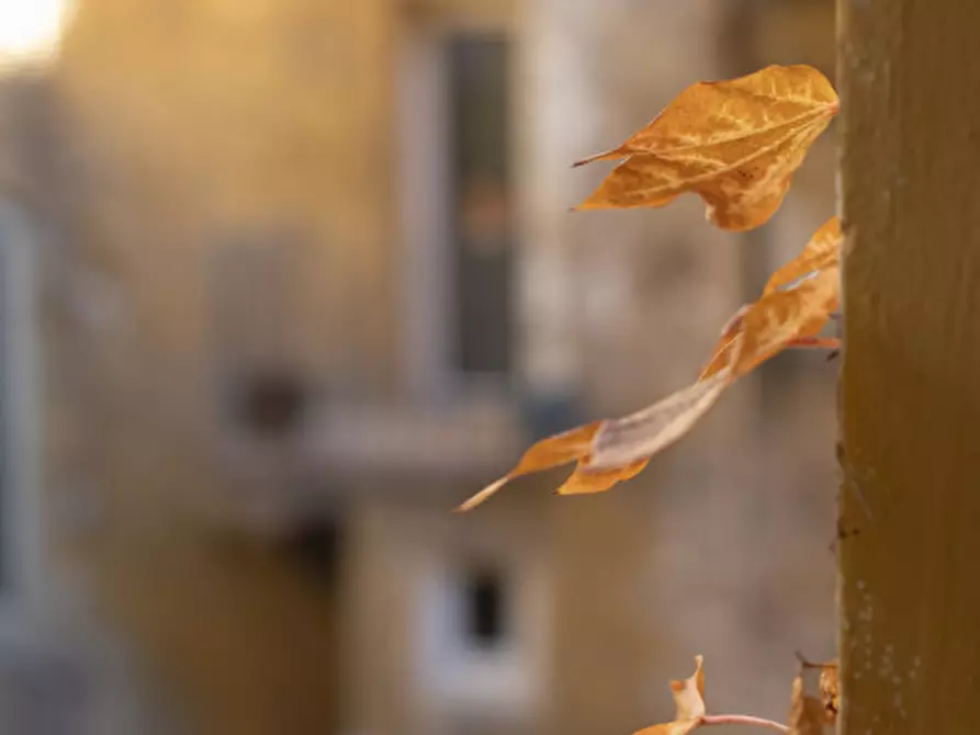 Immagine 62 di Appartamento in vendita  in via delle moline 1 a Bologna