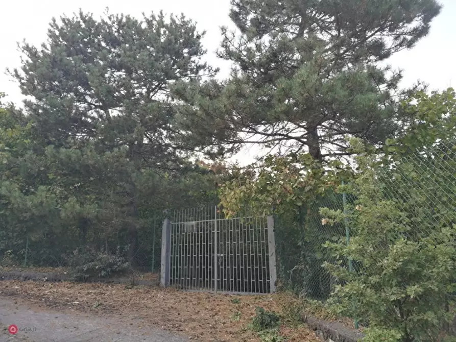 Immagine 1 di Rustico / casale in vendita  in Via Ciurrovio a Mascali