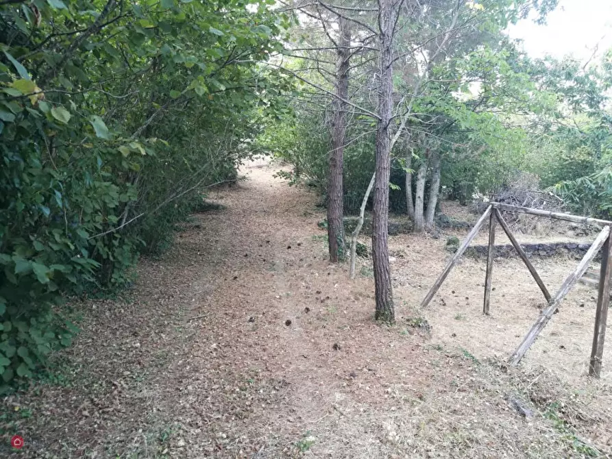 Immagine 2 di Rustico / casale in vendita  in Via Ciurrovio a Mascali