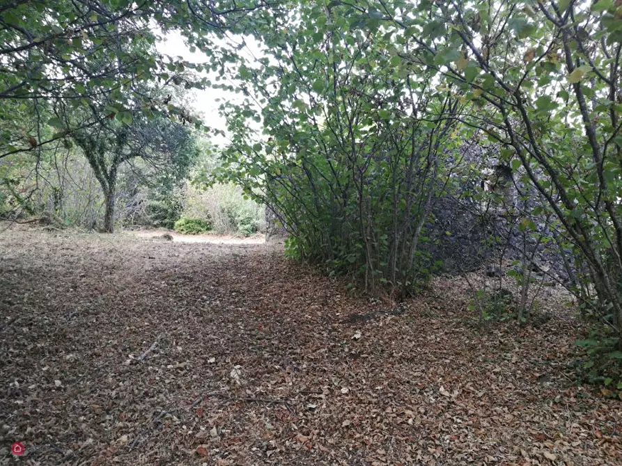 Immagine 3 di Rustico / casale in vendita  in Via Ciurrovio a Mascali