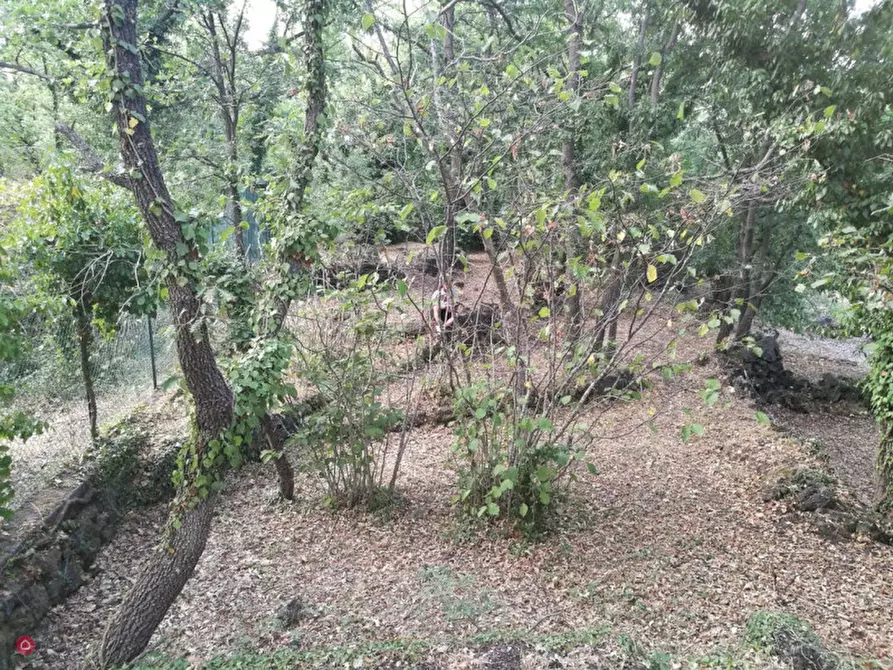 Immagine 5 di Rustico / casale in vendita  in Via Ciurrovio a Mascali