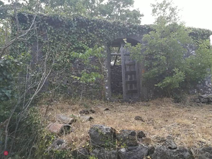 Immagine 7 di Rustico / casale in vendita  in Via Ciurrovio a Mascali