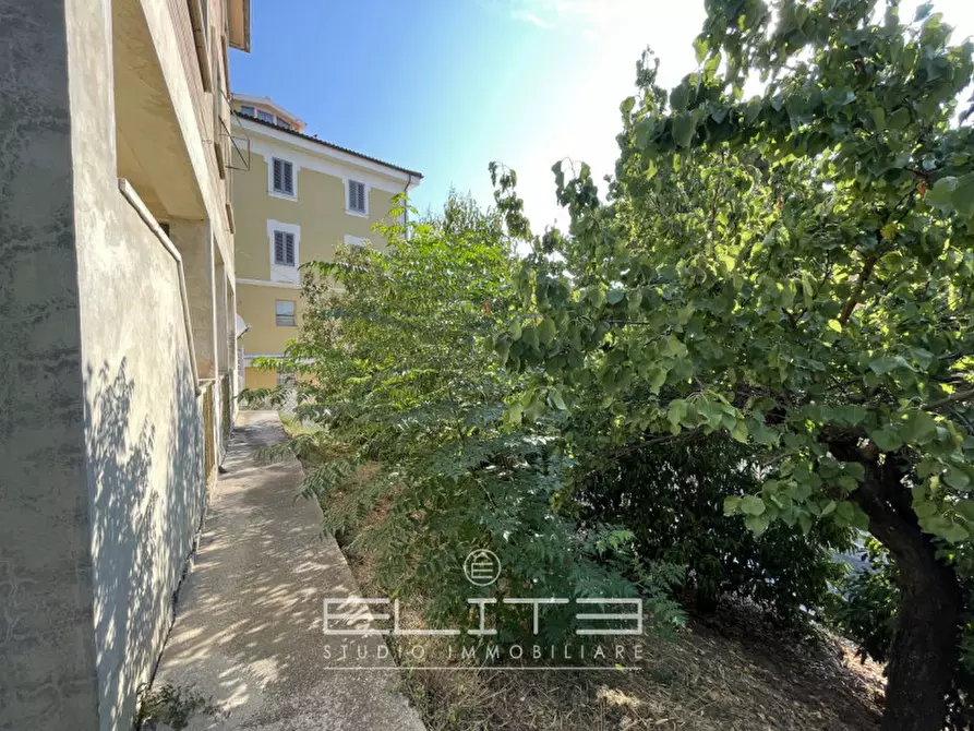 Immagine 34 di Villa in vendita  a Osimo