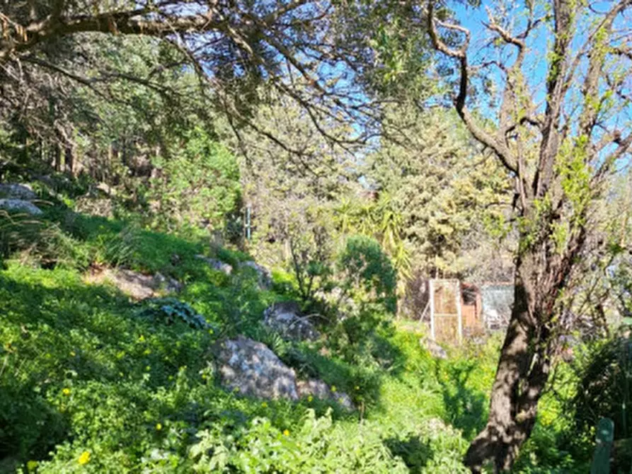 Immagine 9 di Villa in vendita  in Via Svizzera SNC a Carini