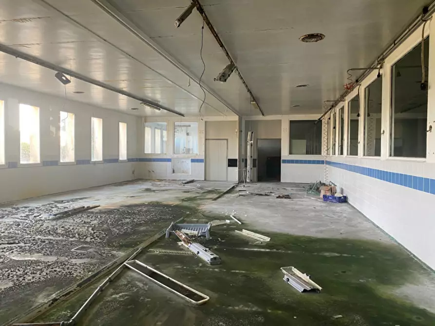 Immagine 3 di Capannone industriale in vendita  in VIA COMMERCIALE a Santa Giustina In Colle
