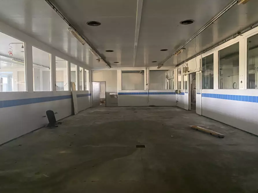 Immagine 4 di Capannone industriale in vendita  in VIA COMMERCIALE a Santa Giustina In Colle