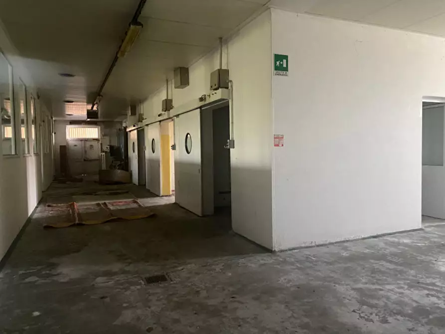 Immagine 5 di Capannone industriale in vendita  in VIA COMMERCIALE a Santa Giustina In Colle