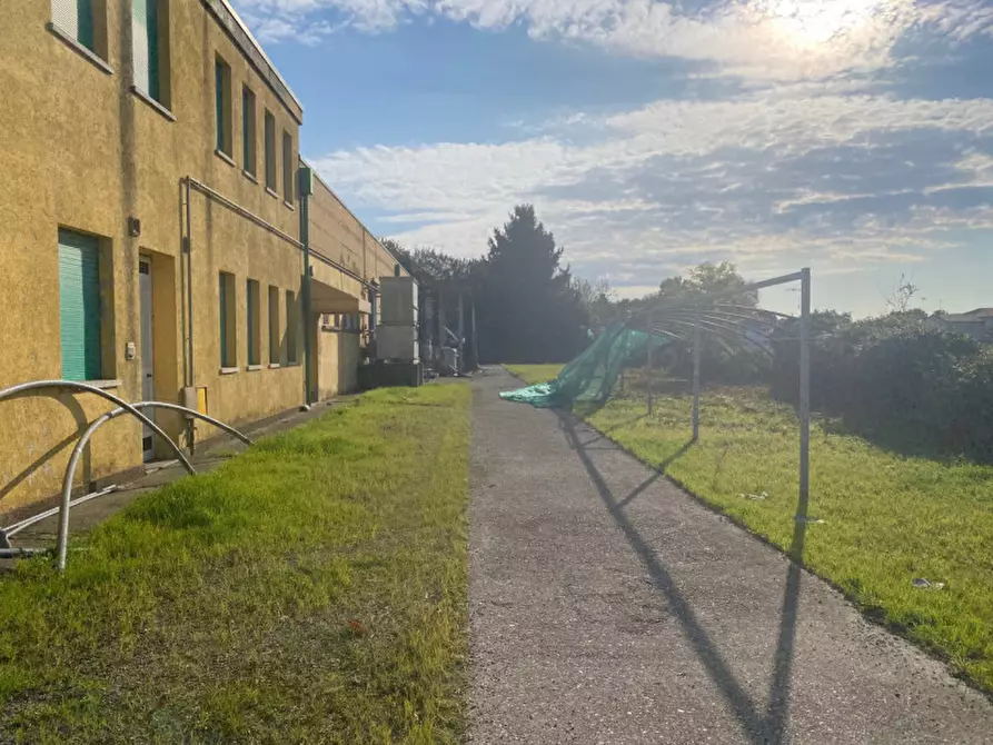 Immagine 7 di Capannone industriale in vendita  in VIA COMMERCIALE a Santa Giustina In Colle
