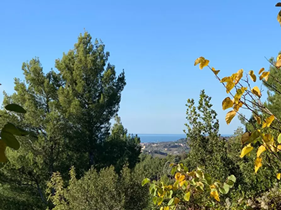 Immagine 2 di Villa in vendita  in Strada Frazione Poggio a Ancona