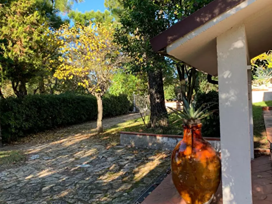 Immagine 6 di Villa in vendita  in Strada Frazione Poggio a Ancona