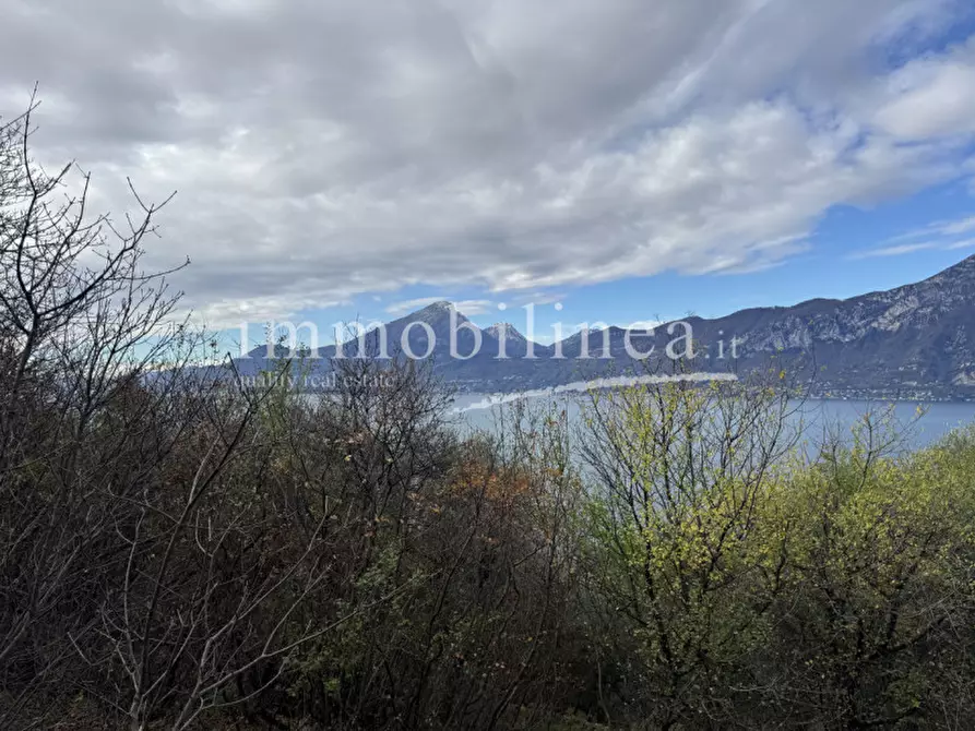 Immagine 8 di Terreno in vendita  in Località Casale a Brenzone