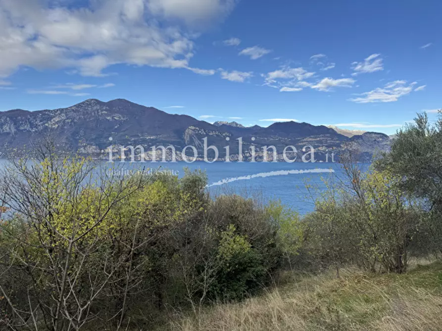 Immagine 9 di Terreno in vendita  in Località Casale a Brenzone