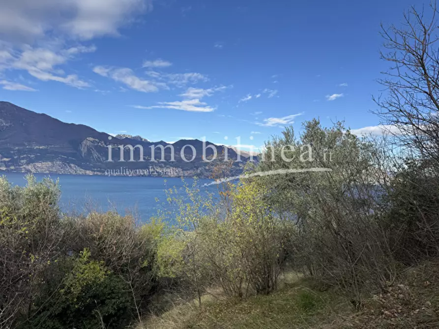 Immagine 11 di Terreno in vendita  in Località Casale a Brenzone