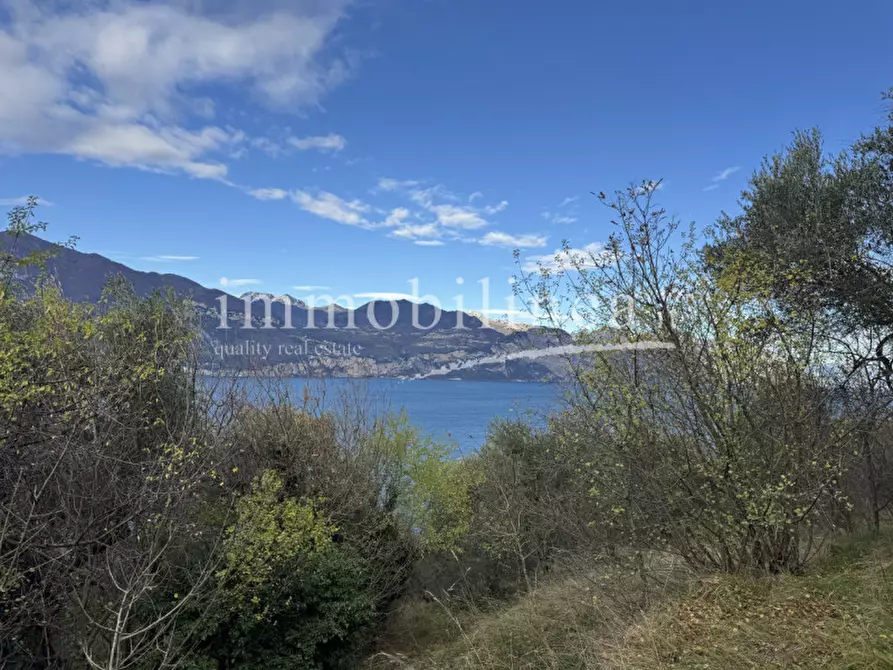 Immagine 12 di Terreno in vendita  in Località Casale a Brenzone
