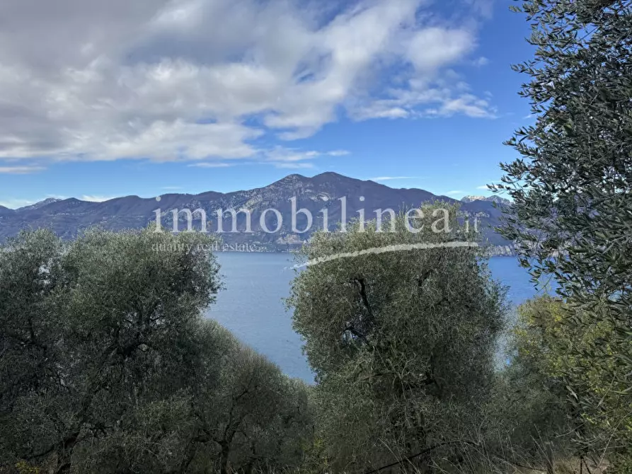 Immagine 13 di Terreno in vendita  in Località Casale a Brenzone