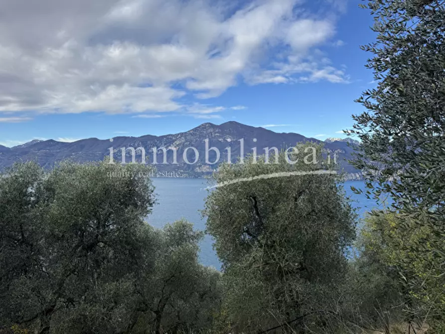 Immagine 13 di Terreno in vendita  in Località Casale a Brenzone