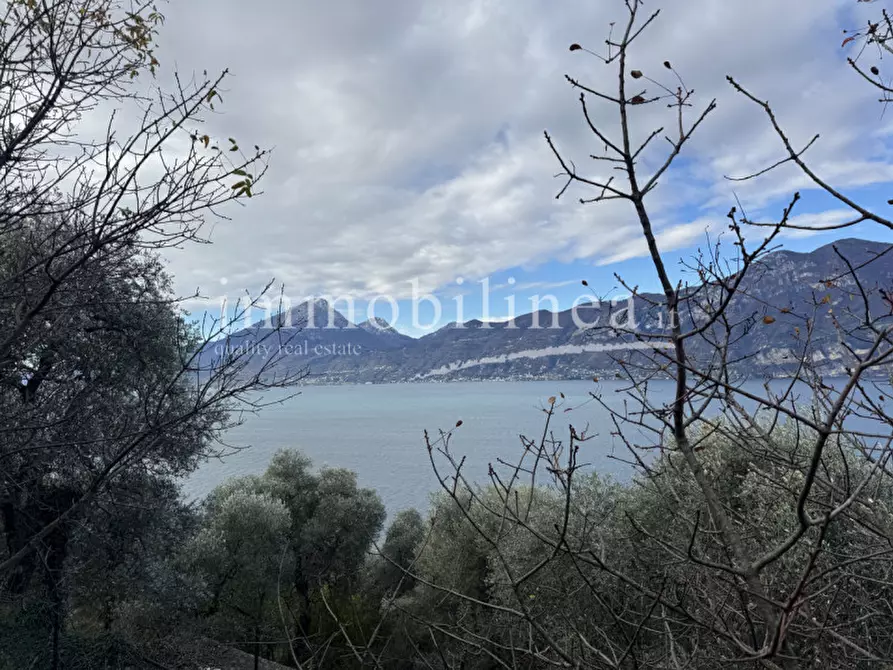 Immagine 14 di Terreno in vendita  in Località Casale a Brenzone