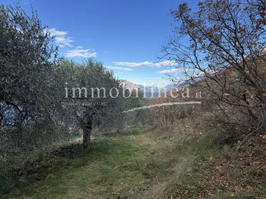 Immagine 15 di Terreno in vendita  in Località Casale a Brenzone