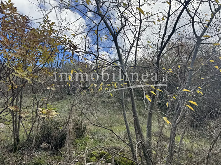 Immagine 16 di Terreno in vendita  in Località Casale a Brenzone