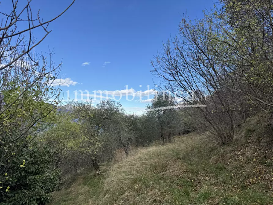 Immagine 17 di Terreno in vendita  in Località Casale a Brenzone